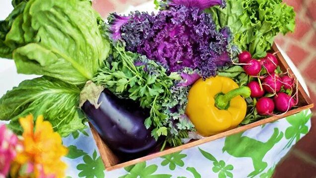 Gemüse und Gemüse in der Ducan-Diät